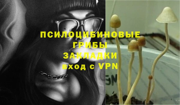соль ск Волоколамск